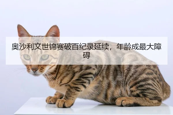 奥沙利文世锦赛破百纪录延续，年龄成最大障碍
