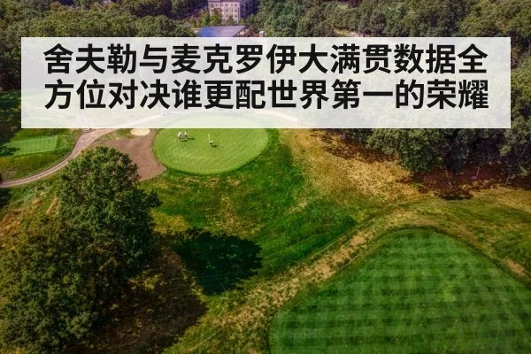 舍夫勒与麦克罗伊大满贯数据全方位对决谁更配世界第一的荣耀